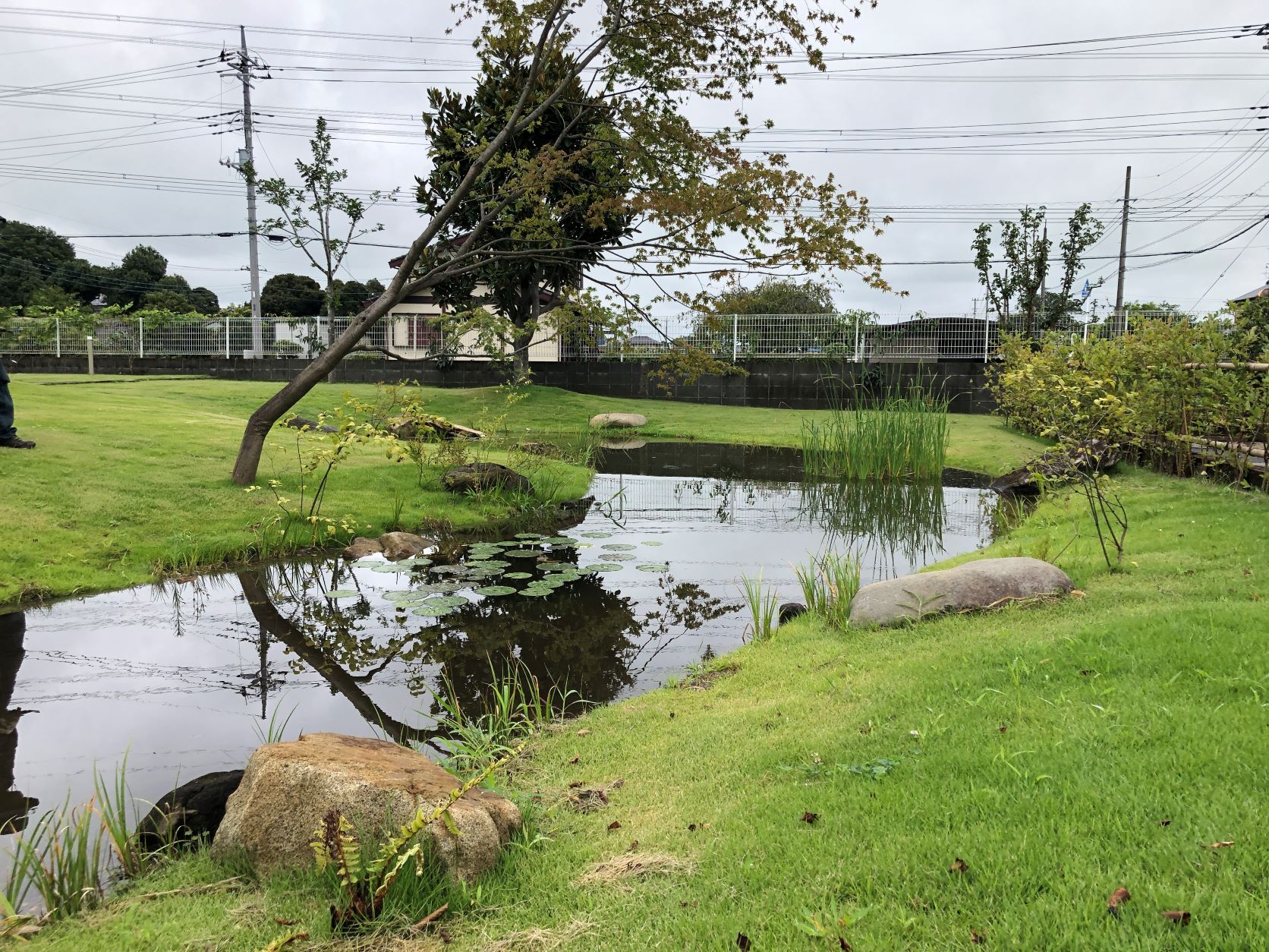 平須賀ビオトープガーデン 画像